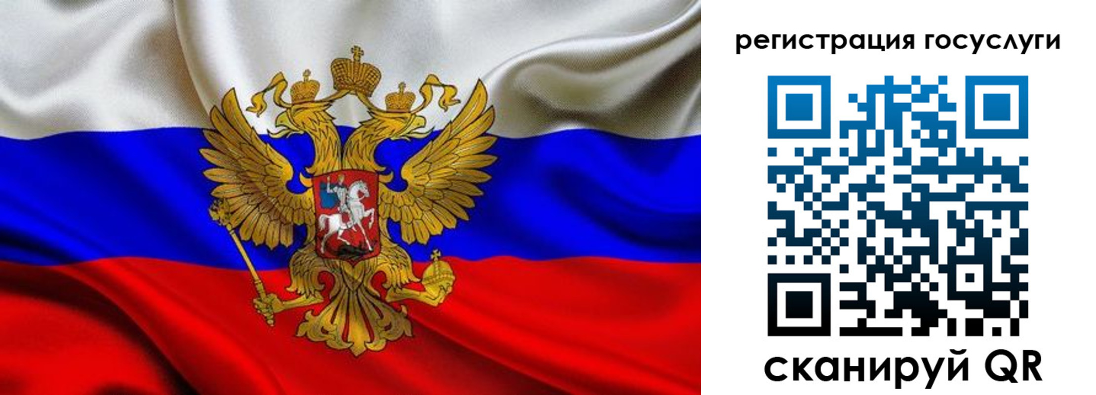 прописка гарантия в Курске
